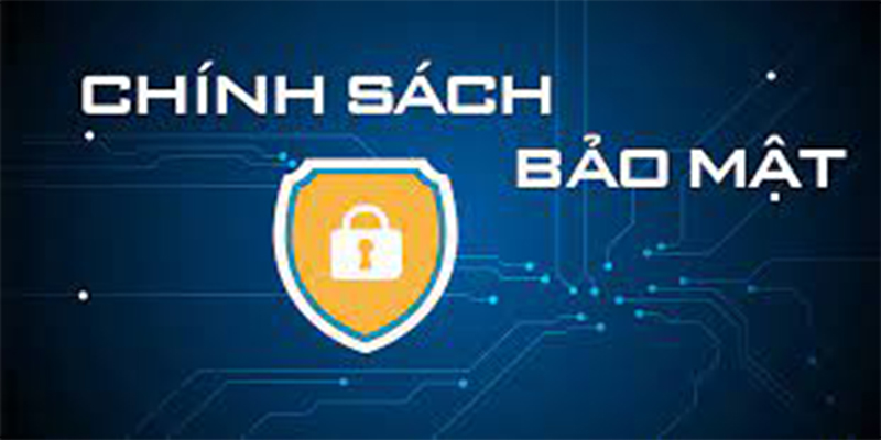 Đặc điểm nổi bật của Chính sách Bảo Mật Longthomo