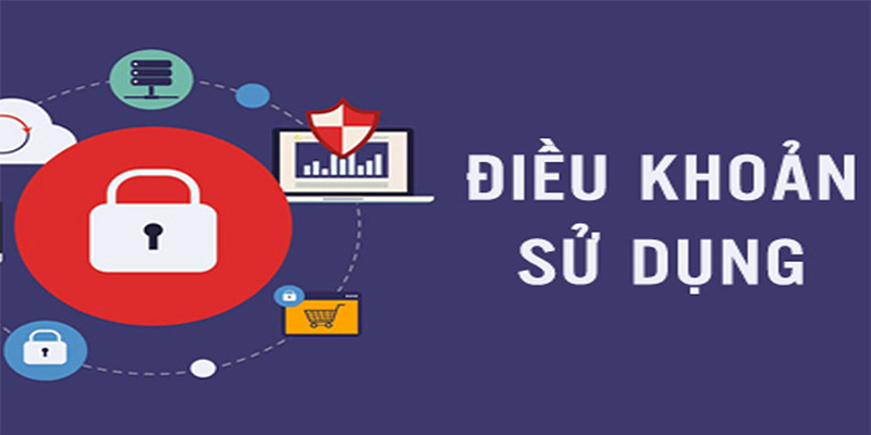 Điều khoản và điều kiện Longthomo
